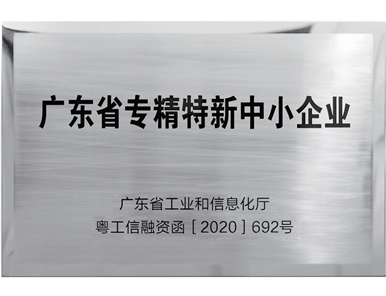 2020年 广东省专精特新中小企业